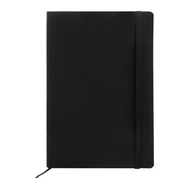 RPU notebook - AP808172 (ANDA#10)